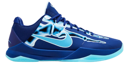 Kobe 5 X-Ray