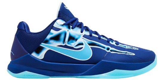 Kobe 5 X-Ray